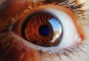Trapiantata prima retina ricavata da staminali