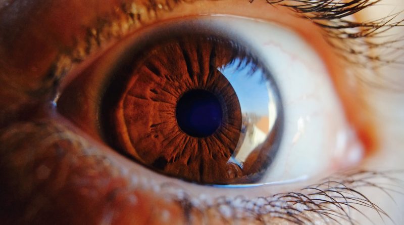 Trapiantata prima retina ricavata da staminali