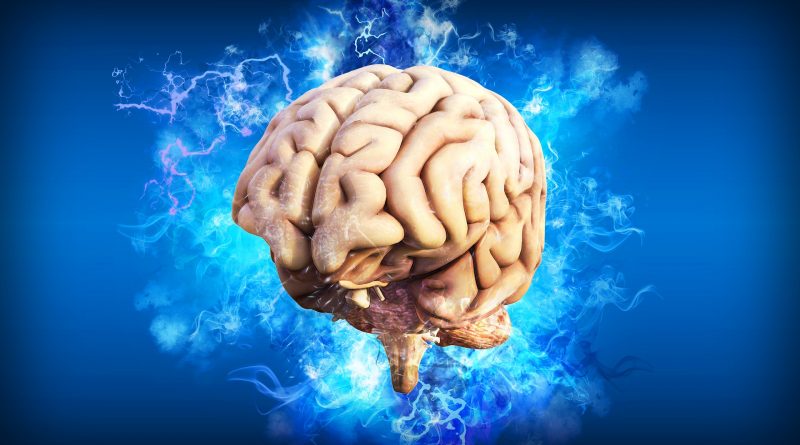 Alzheimer e Parkinson hanno la stessa origine?